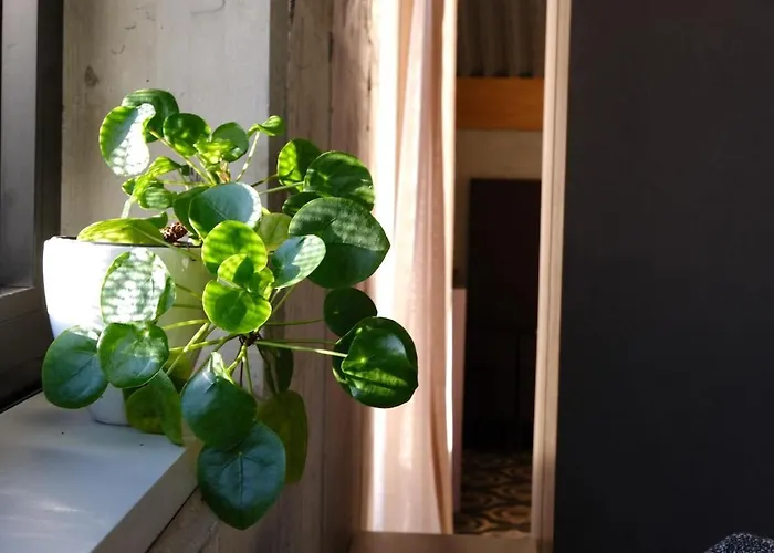 La Casetta Del Custode Apartamento *